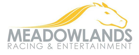 Meadowlands Analysis